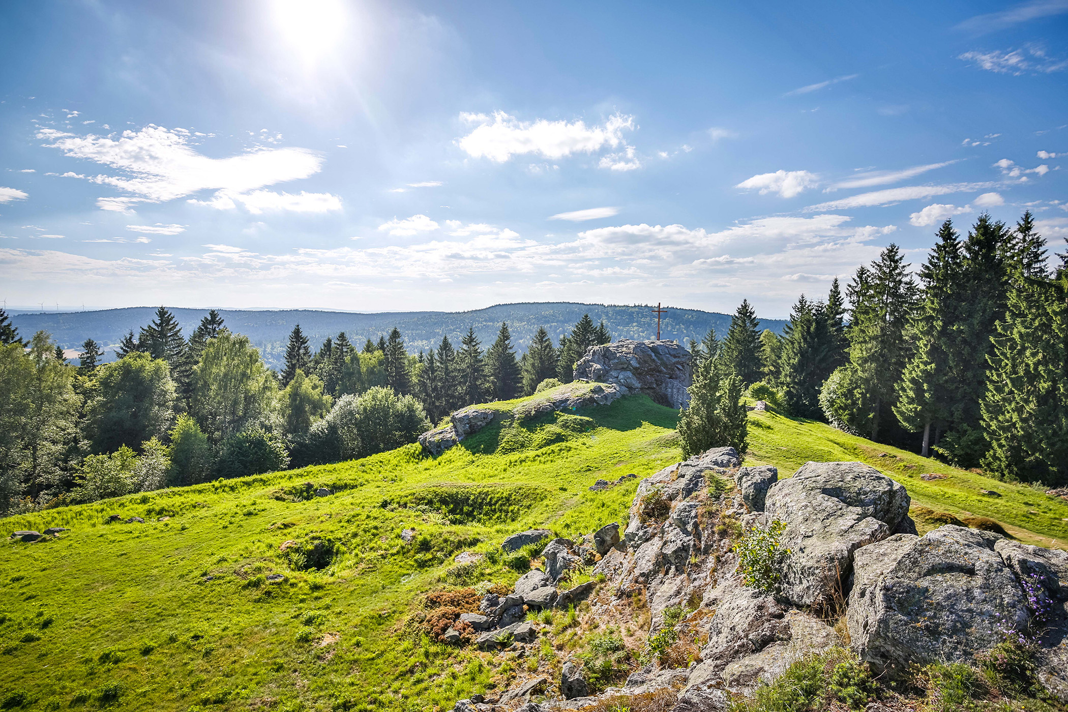Wildenstein, , Foto: Thomas Kujat