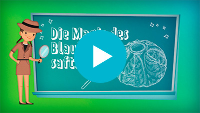 Die Magie des Blaukrautsafts